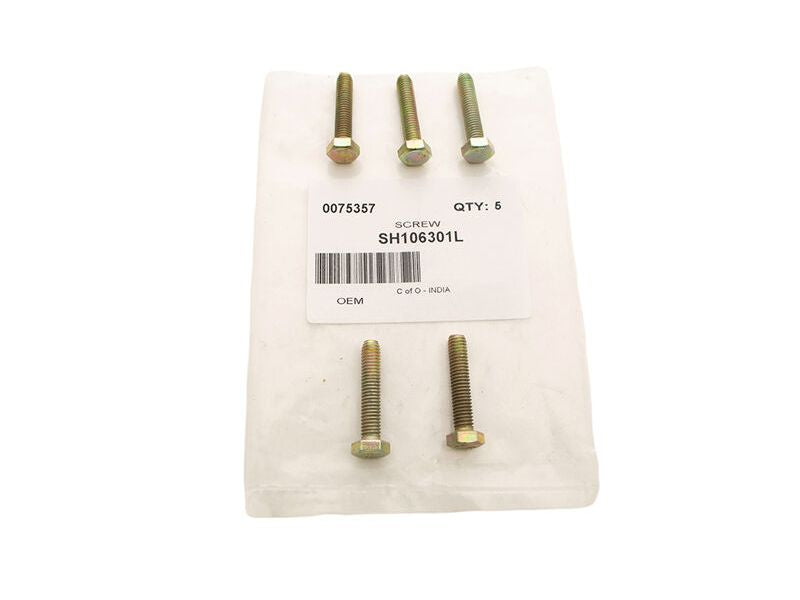 Bolt Hex Set Screw M6x30 for Various Uses