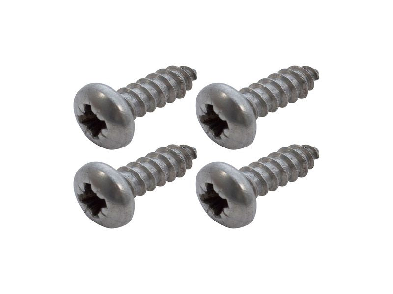 Stainless Steel Screws for Headlamp Panel (4 Screws, 2-Panels)