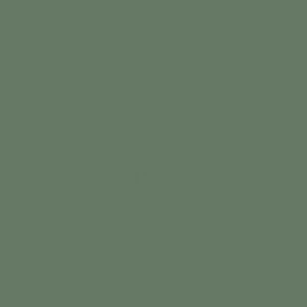 Paintman Paint Pastel Green LRC005 Traditional Synthetic 1L