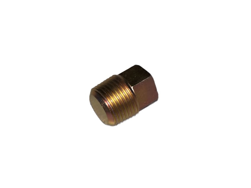 Gearbox Filler Taper Plug (also for 2.6L Water Pump)